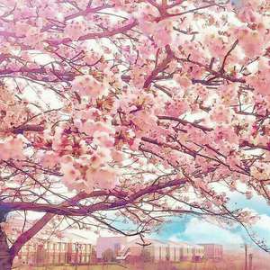 性欧美18ⅩⅩ❌❌❌车里
